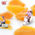 /msite/products/detail/productid/61588593/id/1354213.html